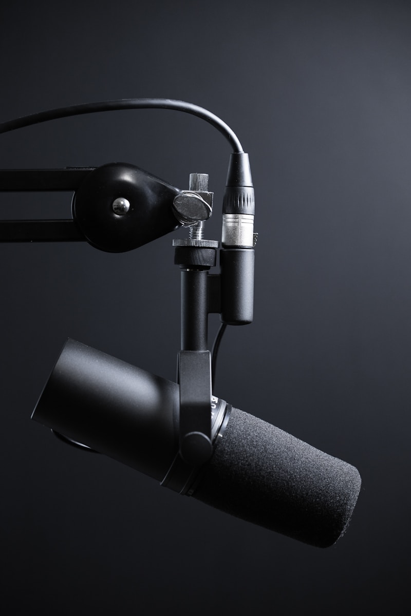 Audio Annotation